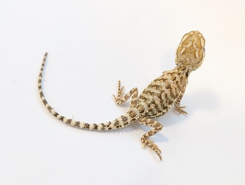 PXL_20251104_105423159~2