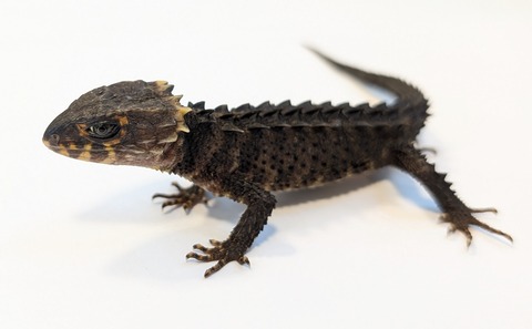 PXL_20250820_112238909~2