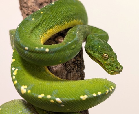 PXL_20251113_095842220~2