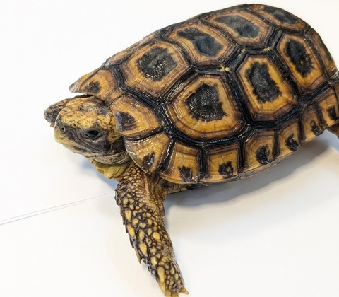 PXL_20250502_103316027~2