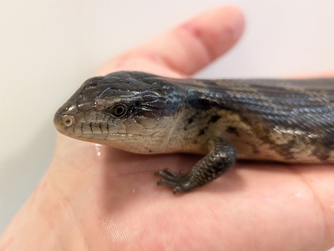 PXL_20250601_045229507~2