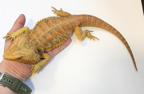 PXL_20250401_093952501~2