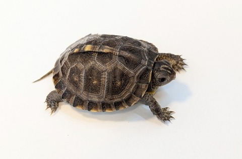 PXL_20251103_100114963~2