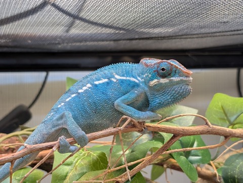 PXL_20250214_034808405