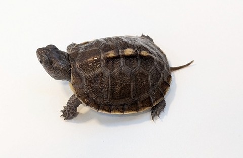 PXL_20251103_100221888~2