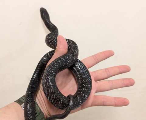 PXL_20260102_081531990~2