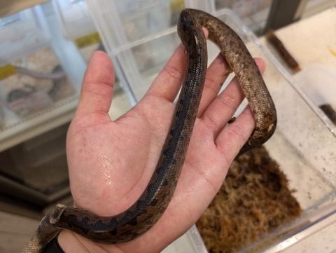 PXL_20250104_064156612