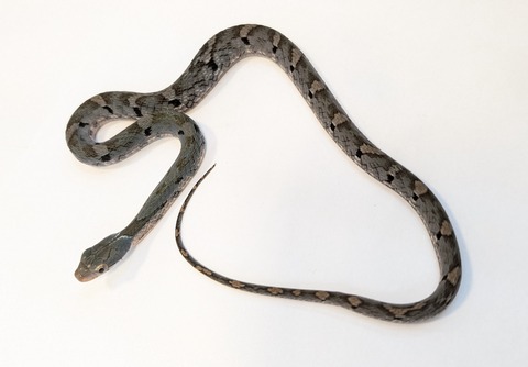 PXL_20250725_095241572~2