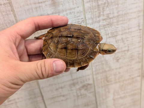 PXL_20241228_115310493~2