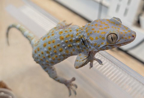 PXL_20260102_093731615~2