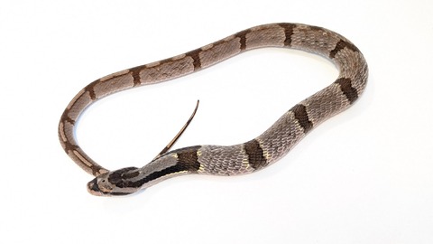 PXL_20250725_095148655~2