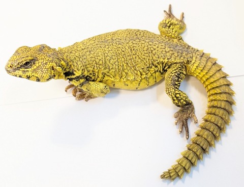 PXL_20250501_081208482~2