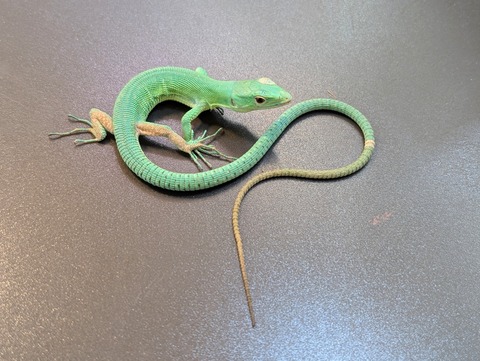 PXL_20250130_090228361~2