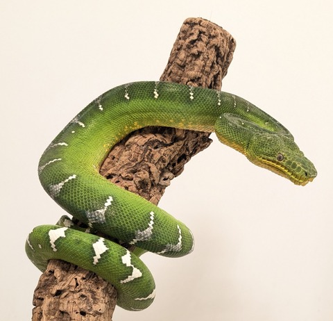 PXL_20260212_084036531~2