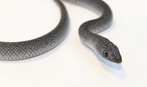 PXL_20251022_092754139~2