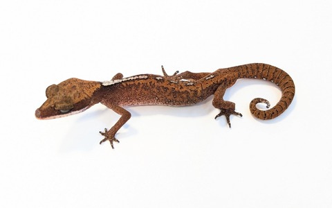 PXL_20250715_100924120~2