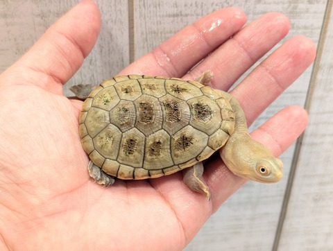 PXL_20250502_105648653~2