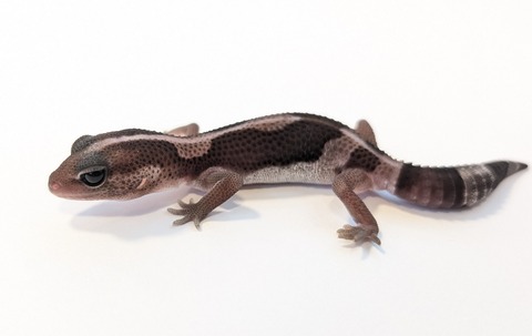 PXL_20250919_115716042~2