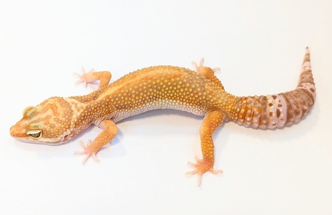 PXL_20250504_105826444~2