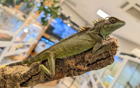 PXL_20251104_102352722~2