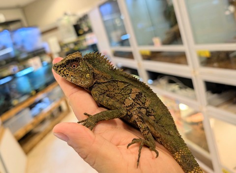 PXL_20250130_085953734~3