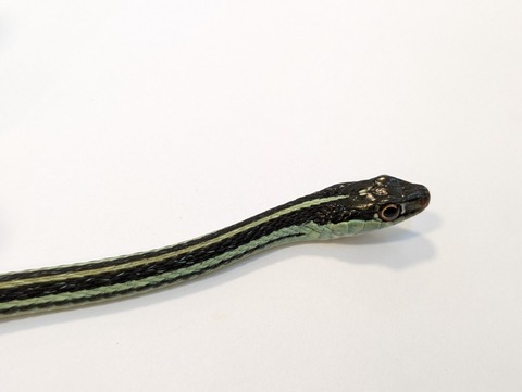 PXL_20250401_100110034