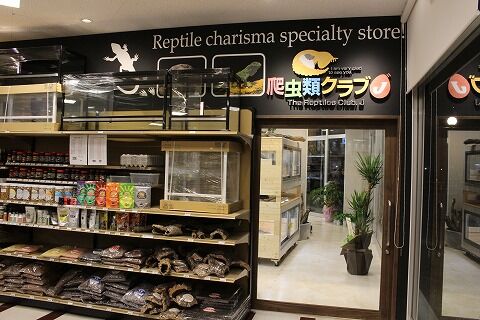 reptile specialty store