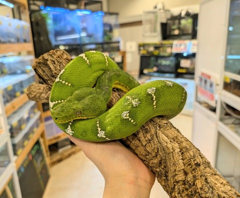 PXL_20241224_110705536~2