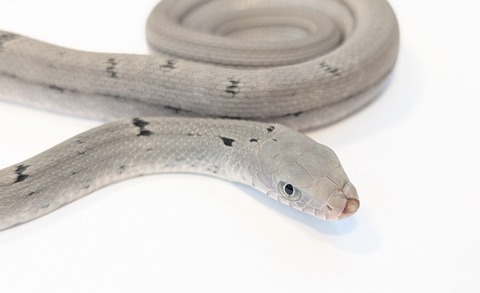 PXL_20251031_111006401~2