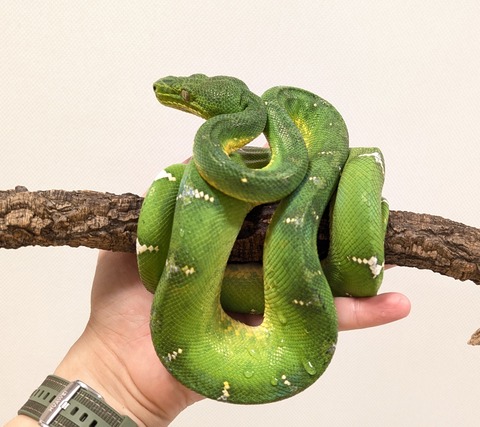 PXL_20250920_111710969~2