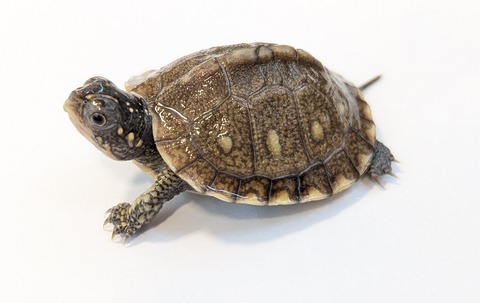 PXL_20251103_101354288~2