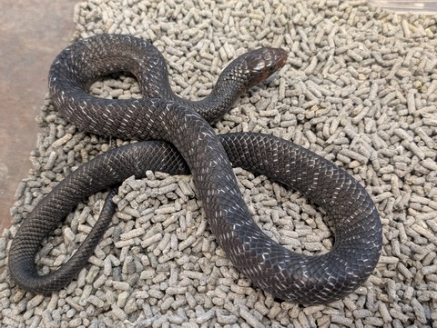 PXL_20250208_073950303