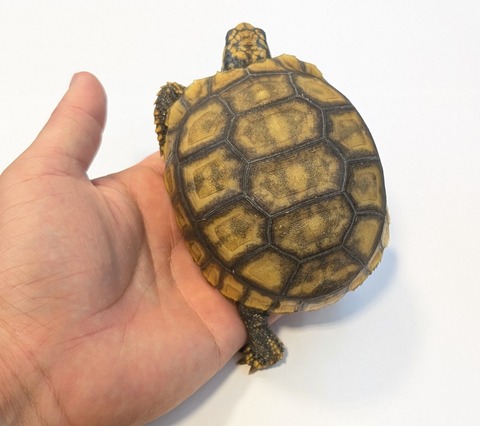 PXL_20250919_113704108~2