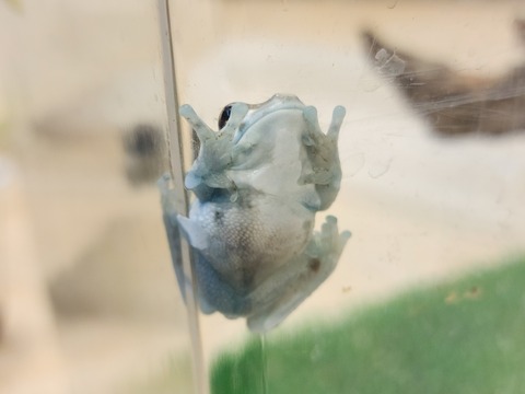 20241031_141548