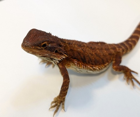 PXL_20250401_092119823~2