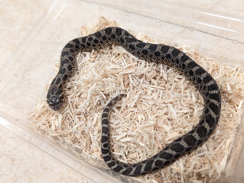 PXL_20250620_131430814~2