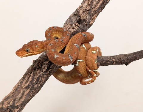 PXL_20260212_100518627