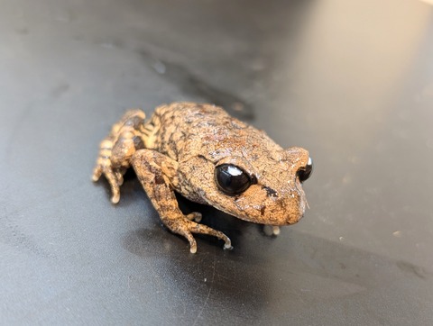 PXL_20250106_103033690~2