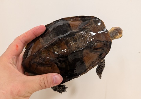 PXL_20250620_132448379~2