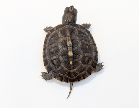 PXL_20251103_100137257~2