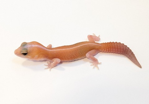 PXL_20250501_082445518~2