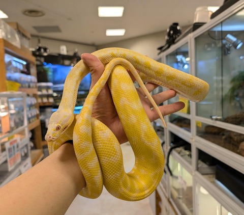 PXL_20241228_113547015~2