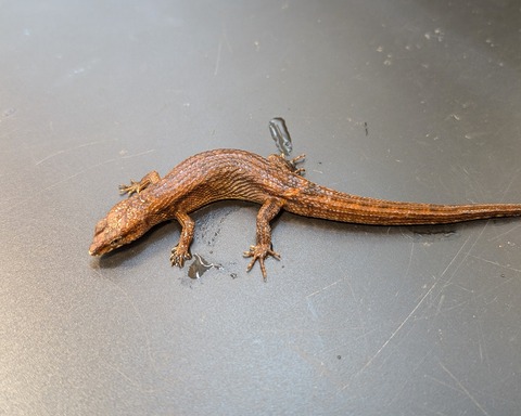 PXL_20241228_094438076~2