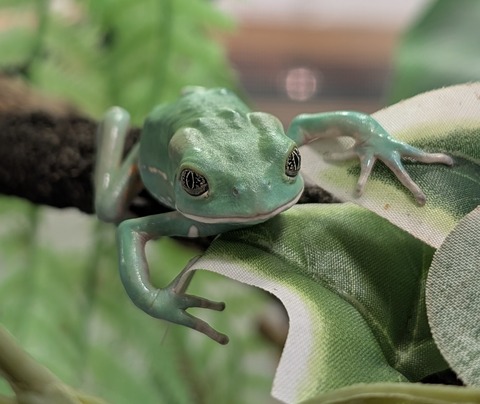 PXL_20251104_105745061~2