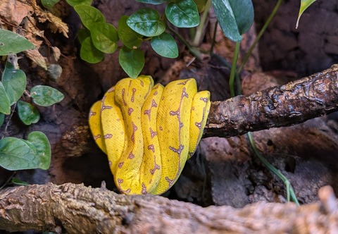 PXL_20251113_113031325~2