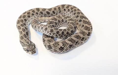 PXL_20250920_100817349~2