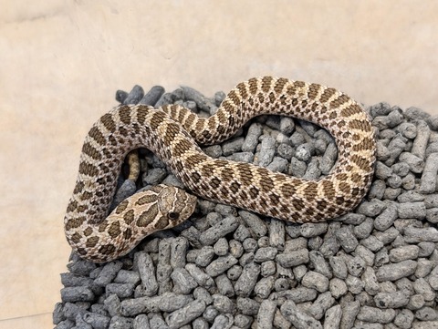 PXL_20241228_112549487~2