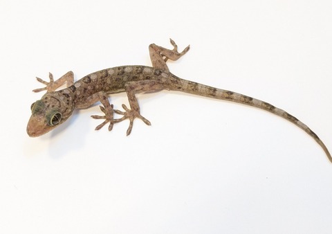 PXL_20250401_101356106~2