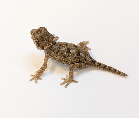 PXL_20250318_085714223~2