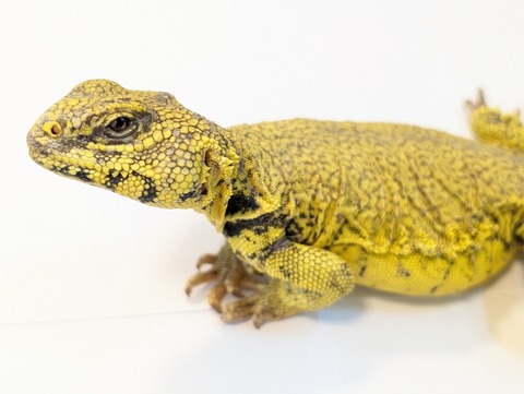 PXL_20250501_081159616~2